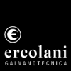 ercolani_logo